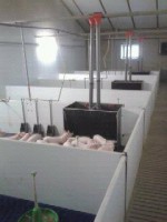 /album/www-varkensbedrijfcvanoort-nl/biggenhokken-jpg1/